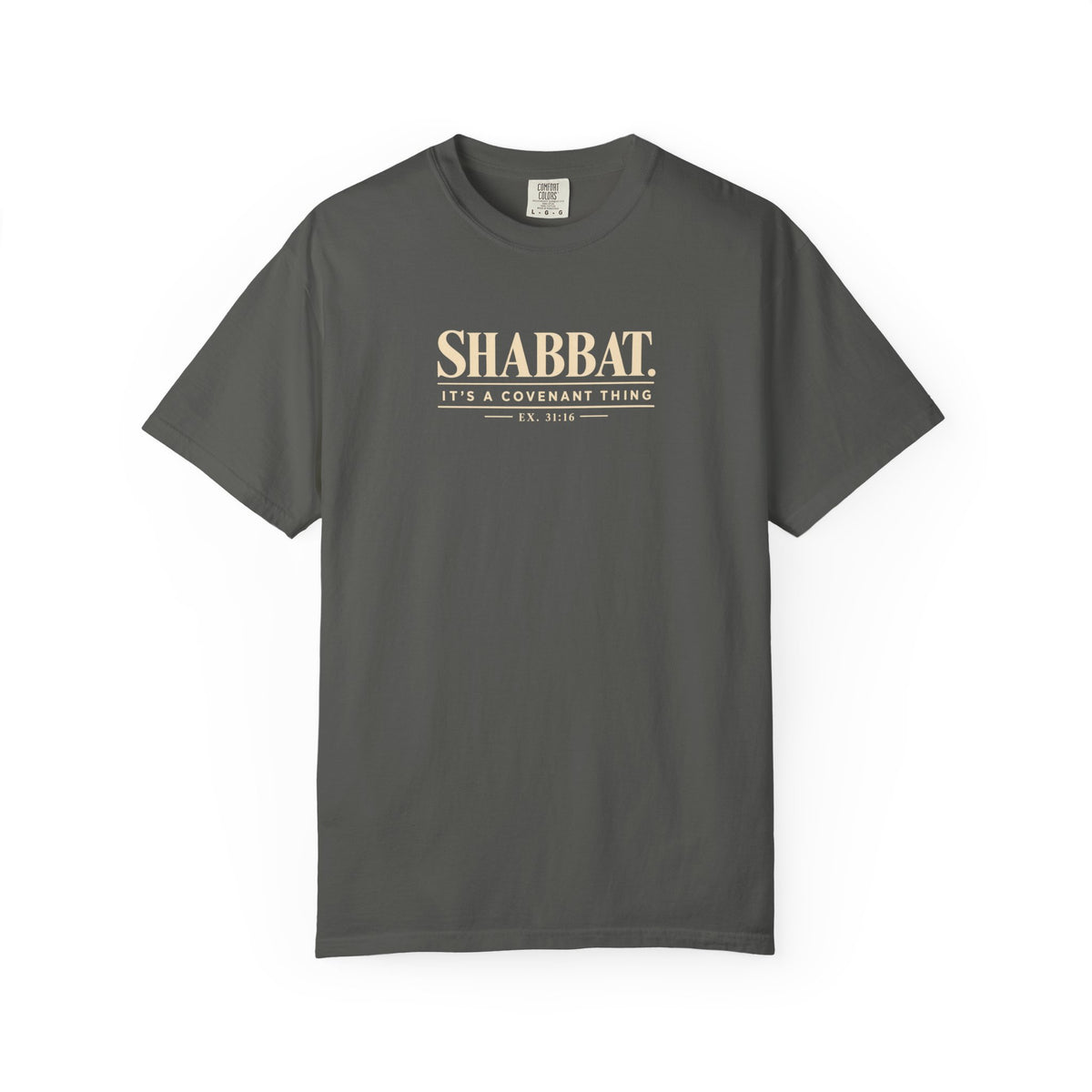 Gray t-shirt with a small logo on a white background