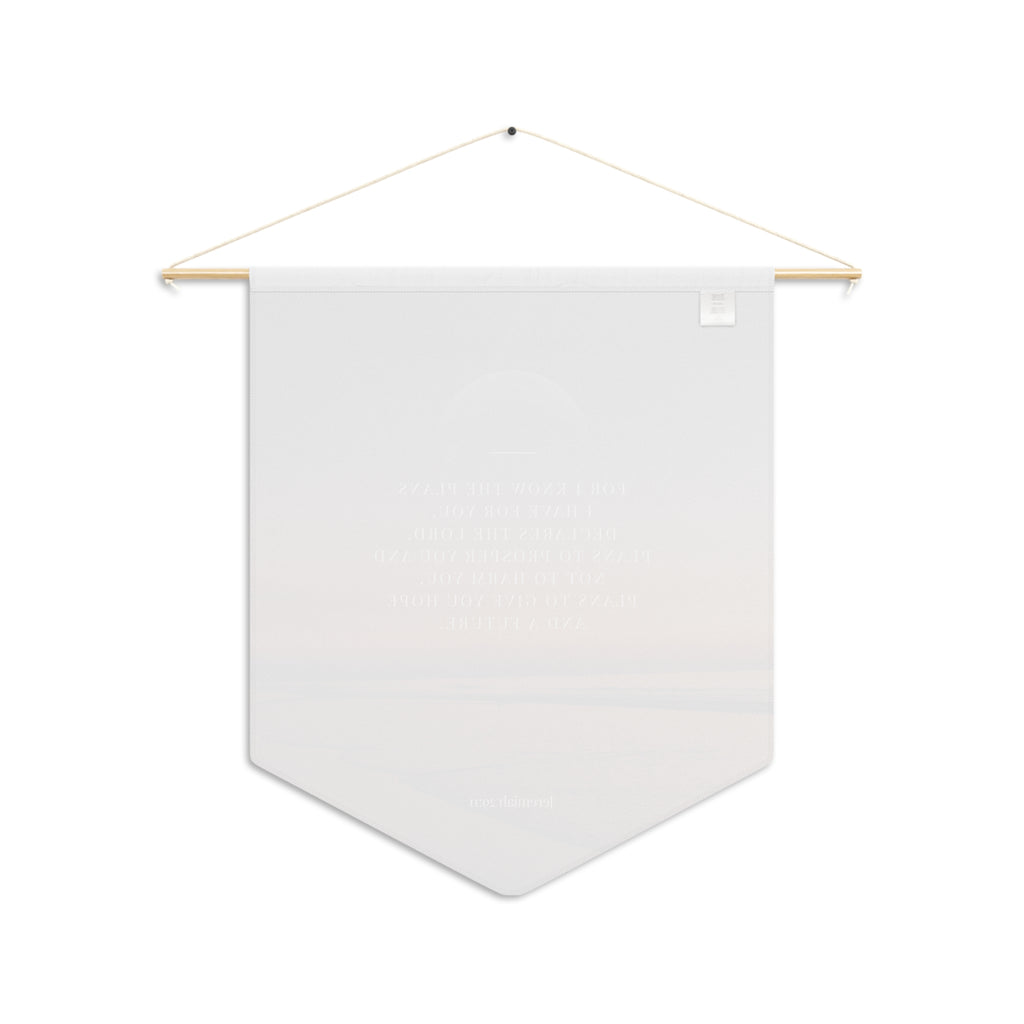 For I Know the Plans I Have for You | Jeremiah 29:11 Wall Pennant