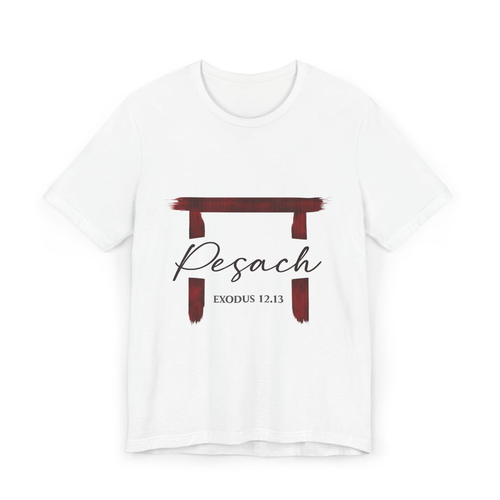 Pesach Passover Seder T-Shirt | Exodus 12:13 Pesach Tee