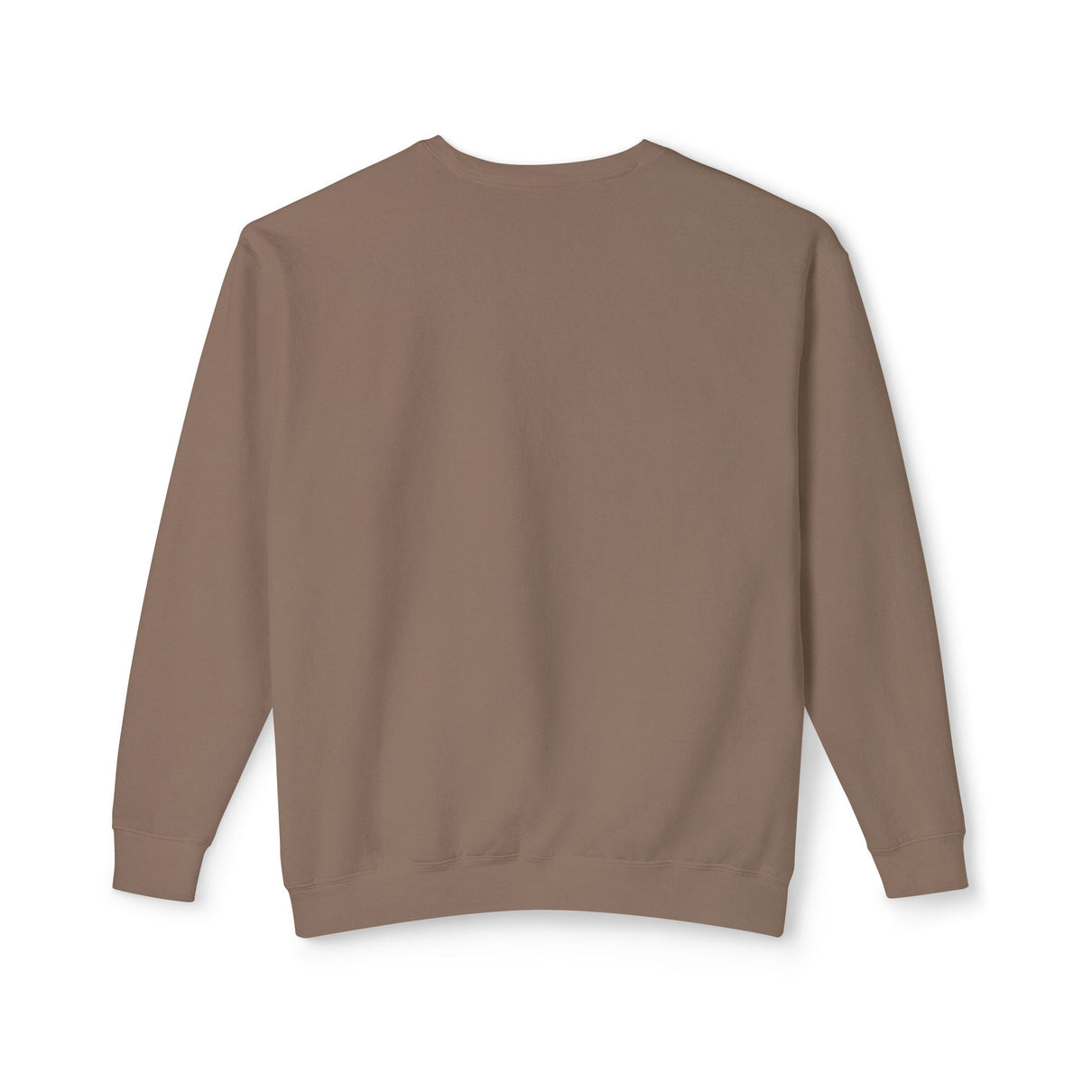Back view of a plain espresso brown sweatshirt on a white background